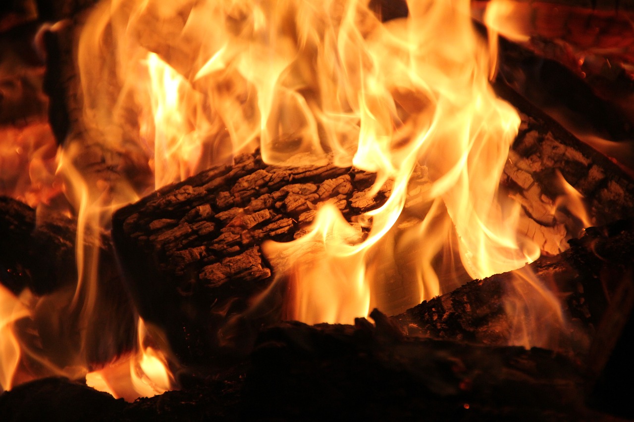 Professional Fireplace Cleaning Services In Cone Michigan
